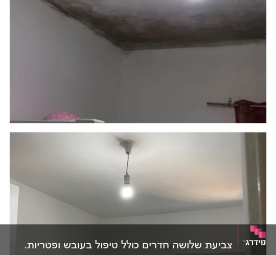 תקרה צבועה בלבן לאחר תיקון עובש